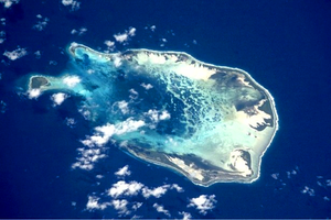 cocos