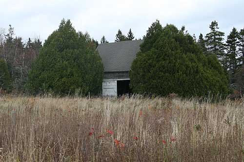 20101030-wind-in-the-old-barn